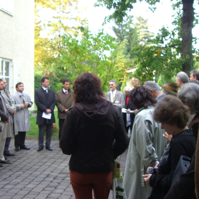 Gralis Bild