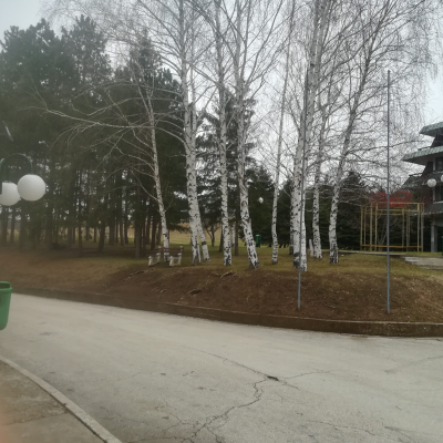 Gralis Bild
