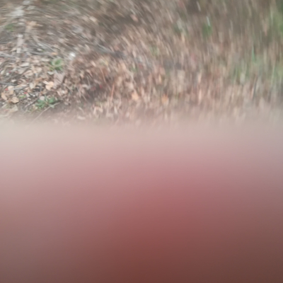 Gralis Bild