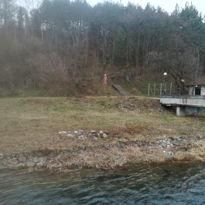 Gralis Bild