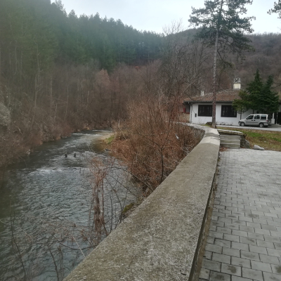 Gralis Bild
