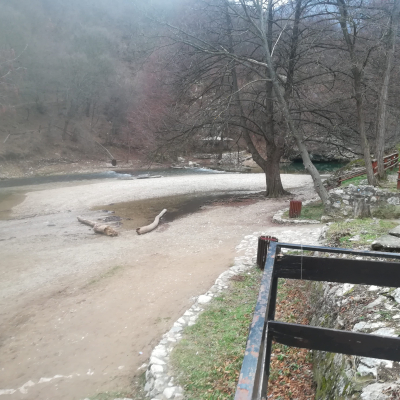Gralis Bild