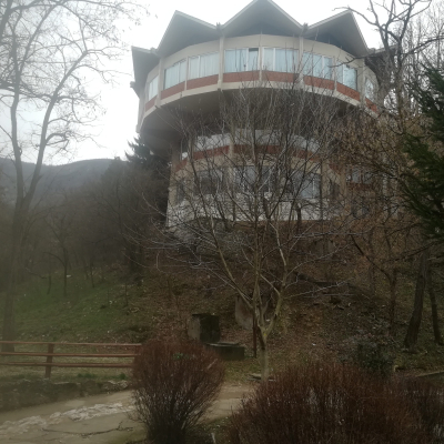 Gralis Bild