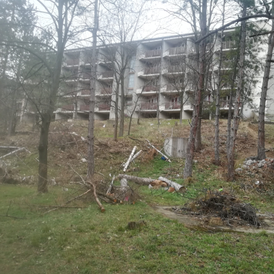 Gralis Bild