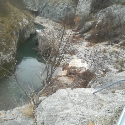 Gralis Bild