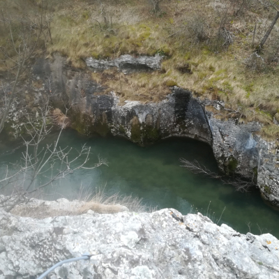 Gralis Bild