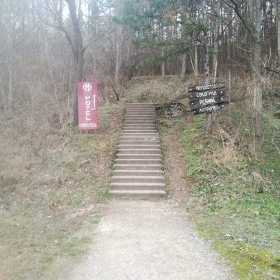 Gralis Bild