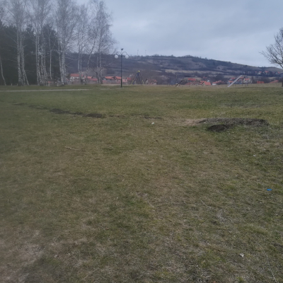 Gralis Bild