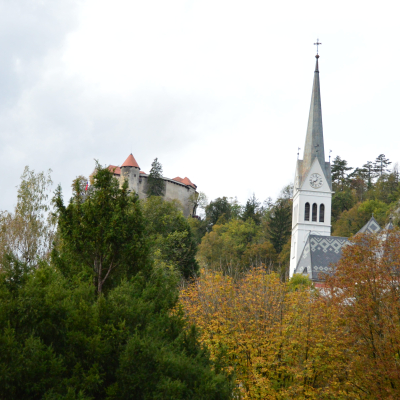 Gralis Bild