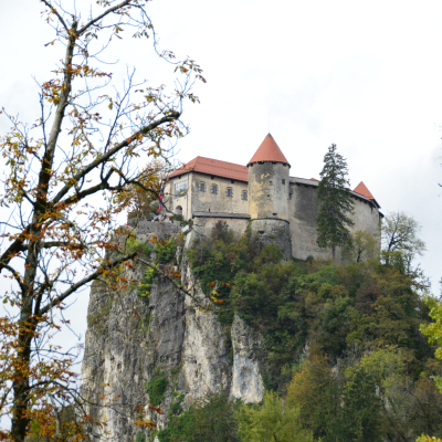 Gralis Bild