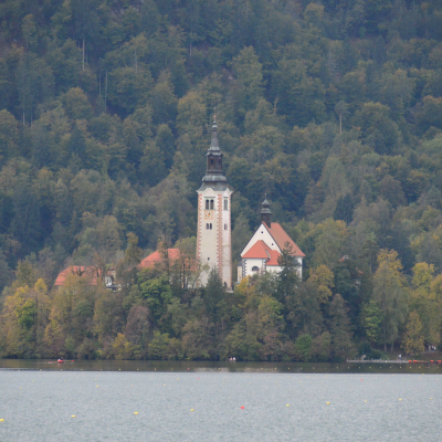 Gralis Bild