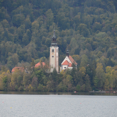 Gralis Bild