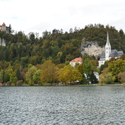 Gralis Bild