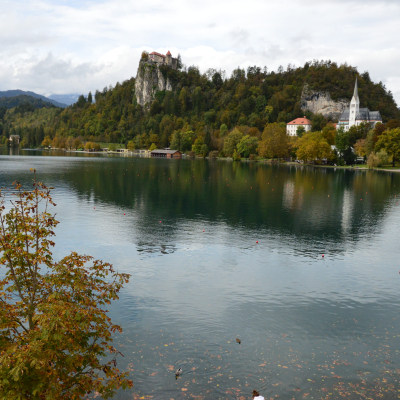 Gralis Bild