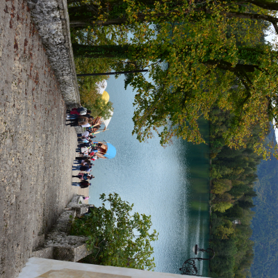 Gralis Bild