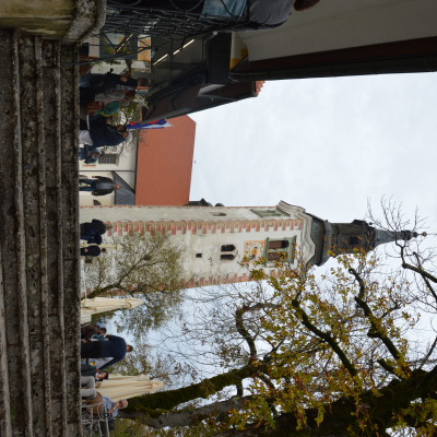 Gralis Bild
