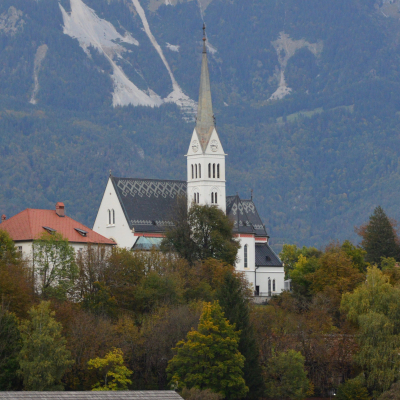 Gralis Bild