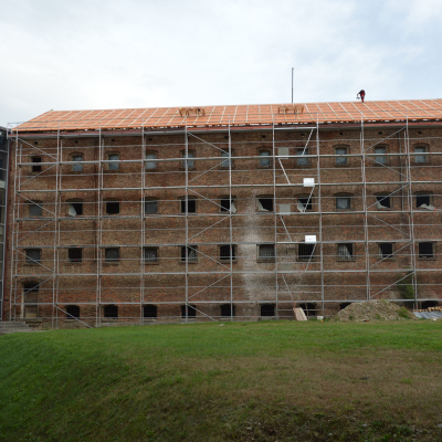 Gralis Bild
