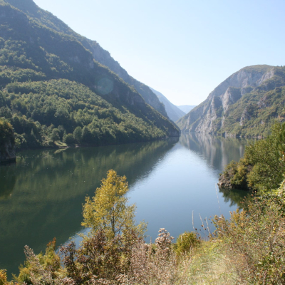 Gralis Bild