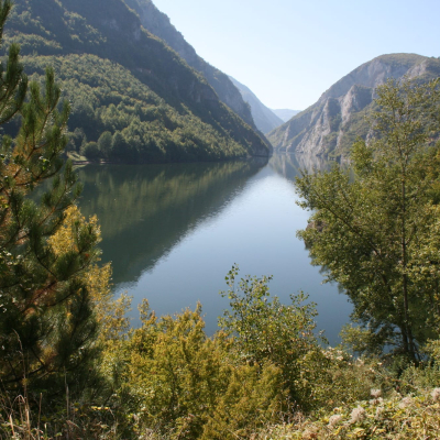 Gralis Bild