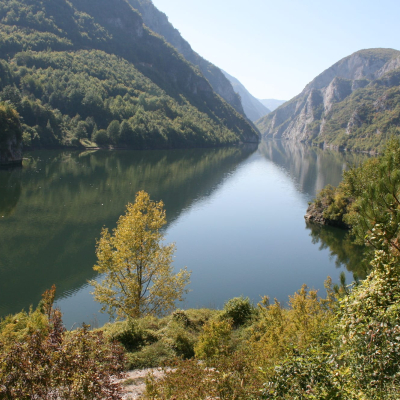 Gralis Bild