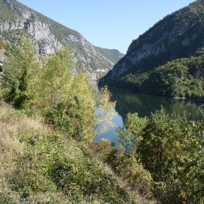 Gralis Bild