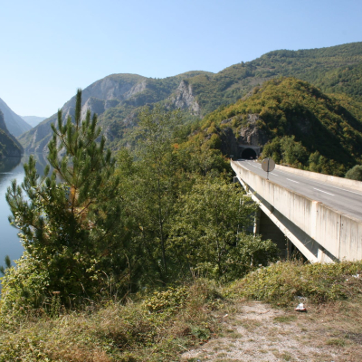 Gralis Bild