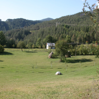 Gralis Bild