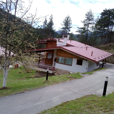 Gralis Bild