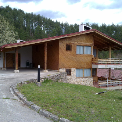 Gralis Bild