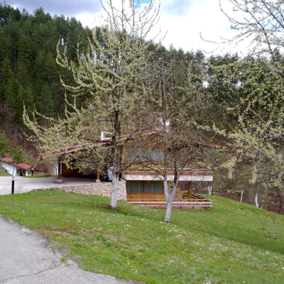 Gralis Bild