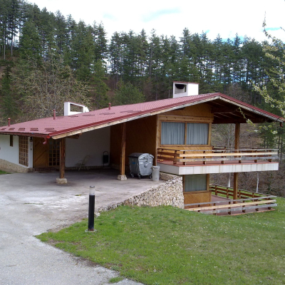Gralis Bild