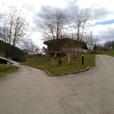 Gralis Bild