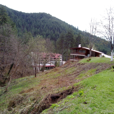 Gralis Bild