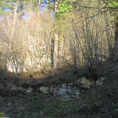 Gralis Bild
