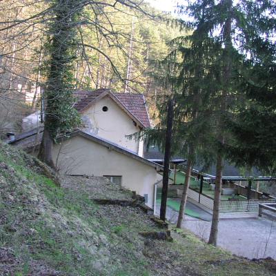 Gralis Bild