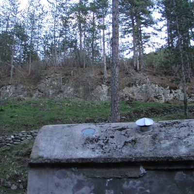 Gralis Bild