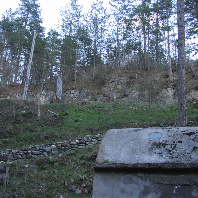 Gralis Bild