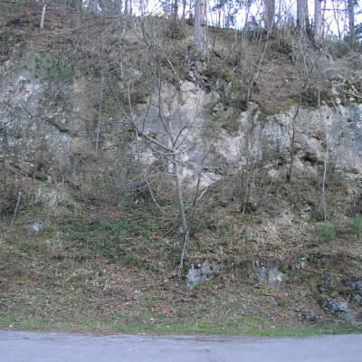 Gralis Bild