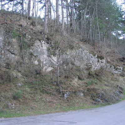 Gralis Bild