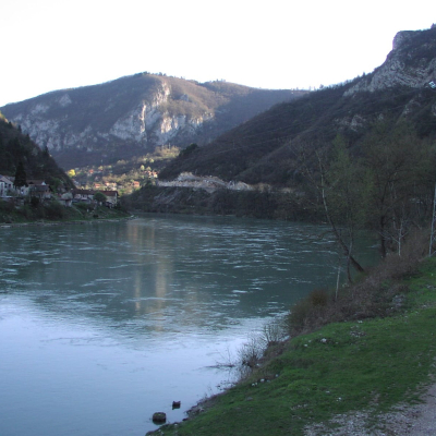 Gralis Bild