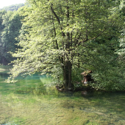 Gralis Bild