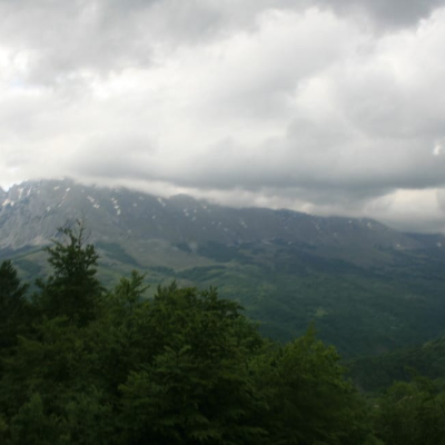 Gralis Bild