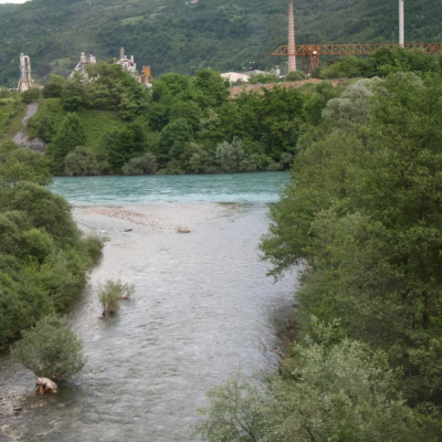 Gralis Bild