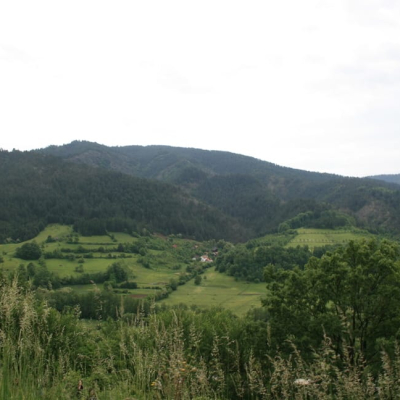 Gralis Bild