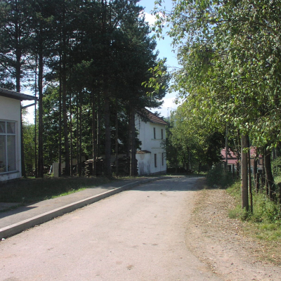 Gralis Bild