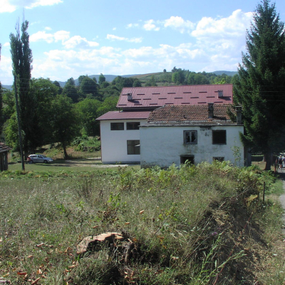 Gralis Bild