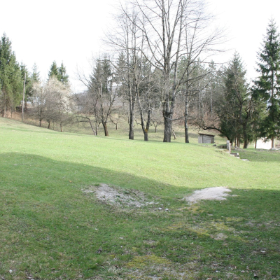 Gralis Bild