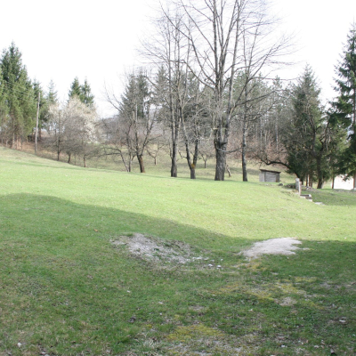 Gralis Bild
