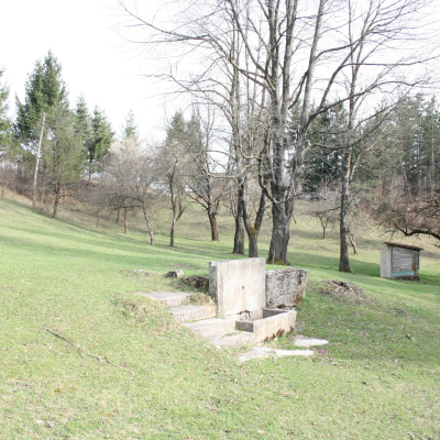 Gralis Bild
